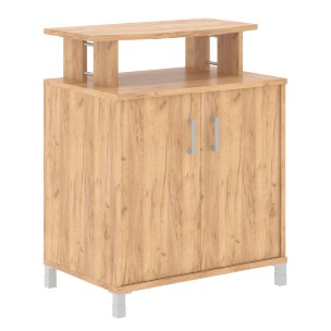 Фригобар с опорами B 450.1 900х600х1145 BORN